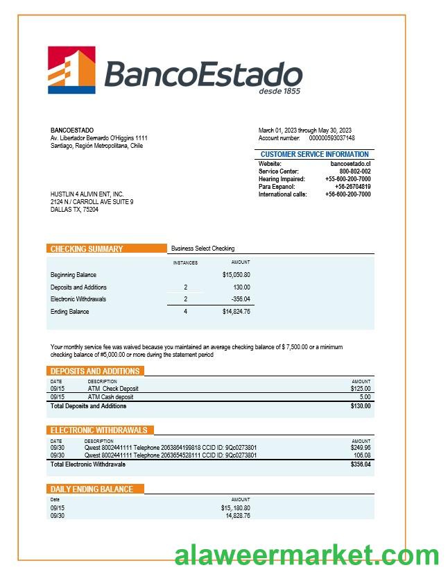 Banco del Estado de Chille organization statement Word and PDF template